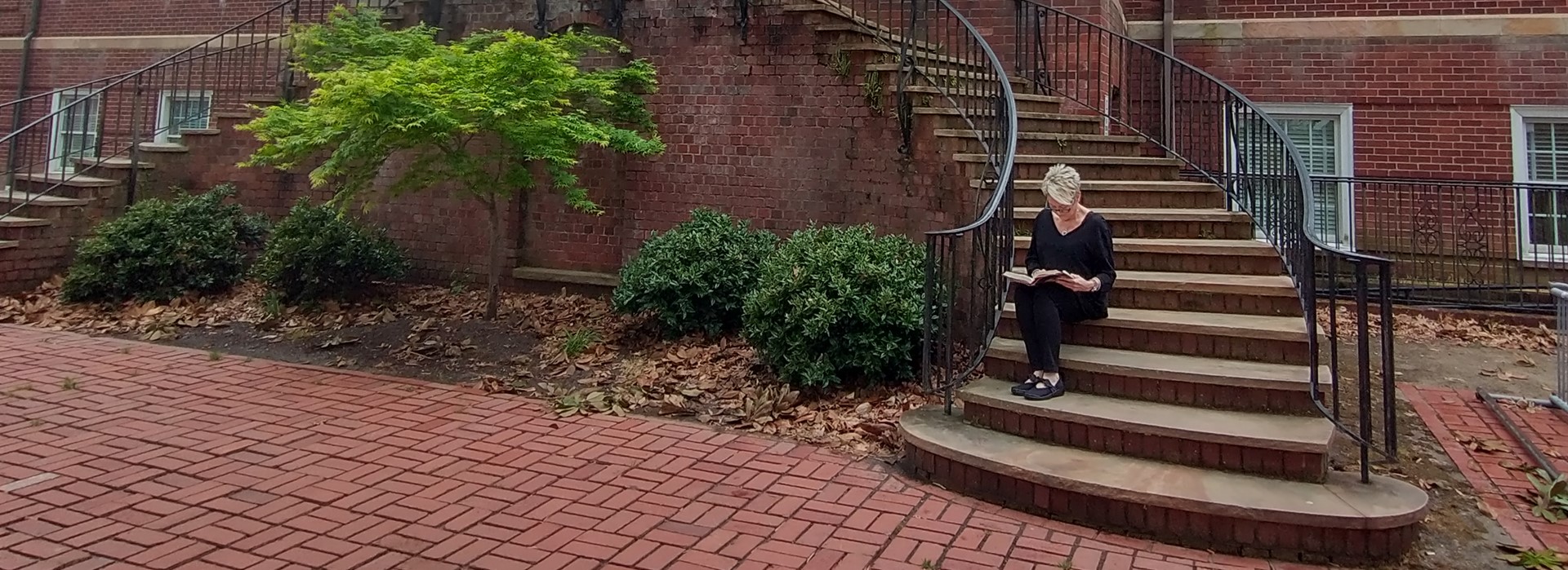 A photograph of the historic architectural steps of the Main Library, with a woman sitting on the steps reading a book